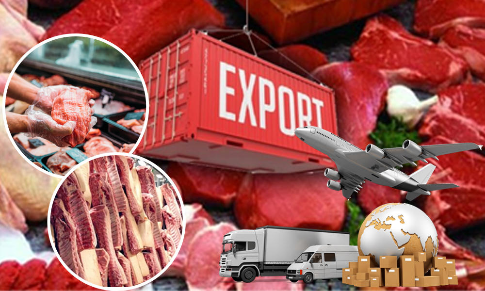 Halal Meat Exporter