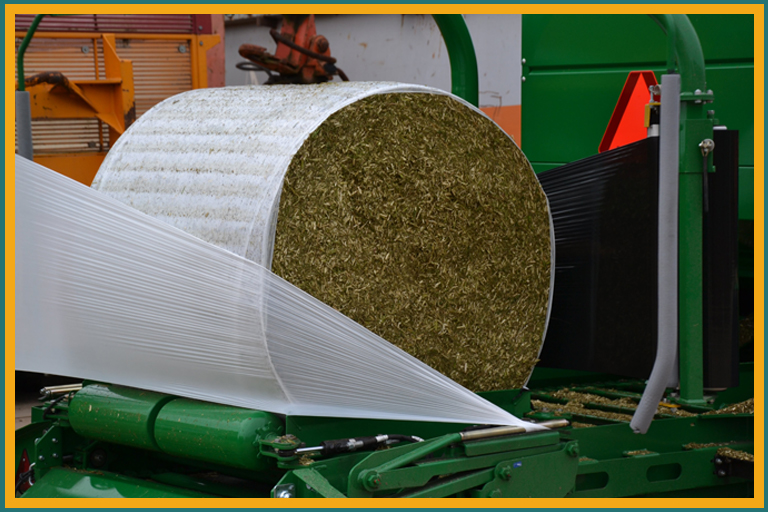 Supper Quality Corn Silage By H.S. Group