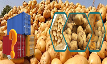 Frequently Asked Questions about Pakistani Potato Exports
