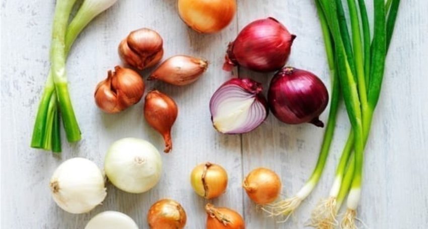 red onion types