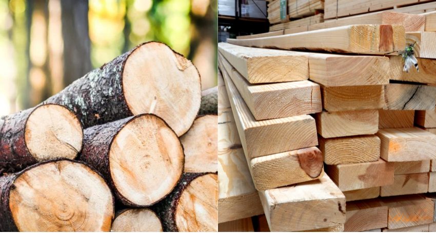 timber vs lumber